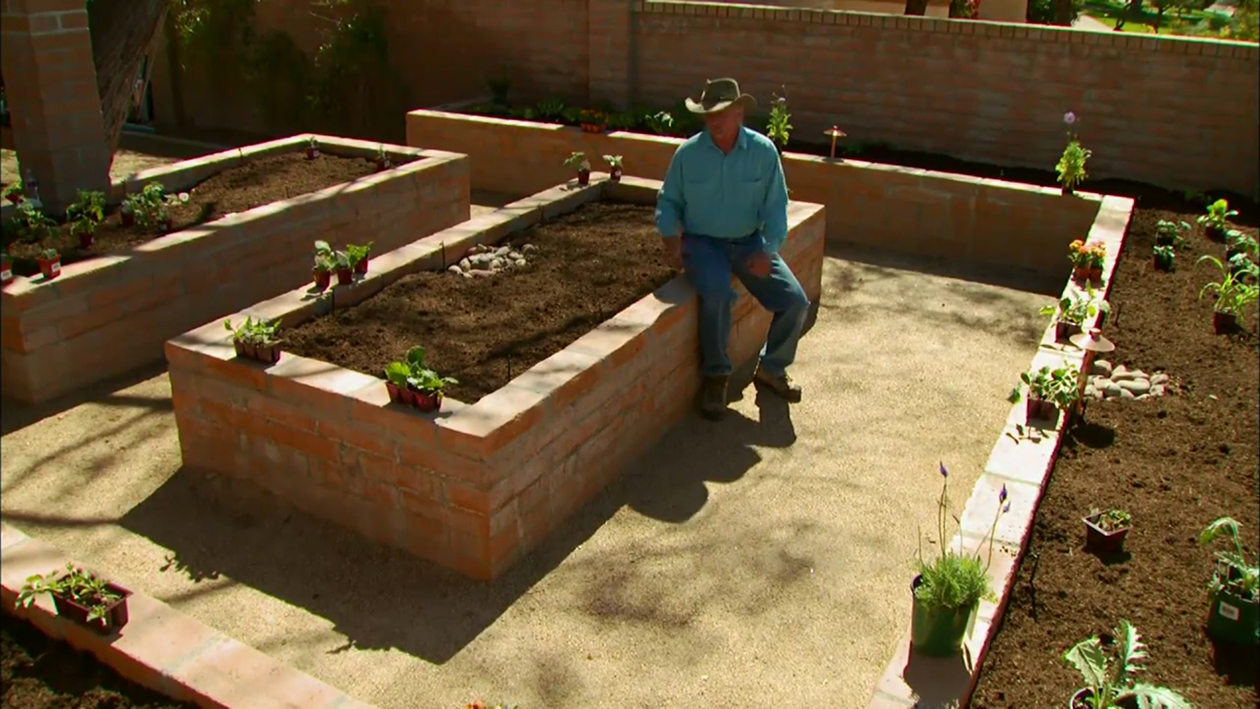 Plant a Raised Vegetable Garden in the Desert Yurview