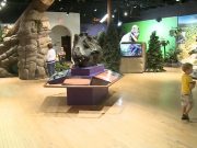 Dino-Zone-Exhibit