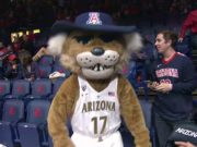 Arizona Wildcats Mascot