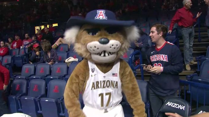Arizona Wildcats Mascot