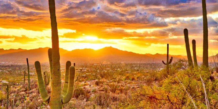 Four Family Friendly Places to Observe Arizona's Natural Wonders