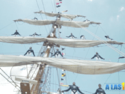 A las 11 por el 11: Harbor Fest 2017