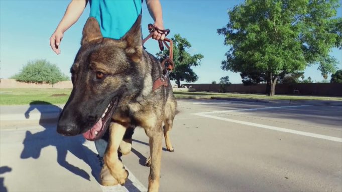 Promoting Independence on Arizona Living Lifestyle