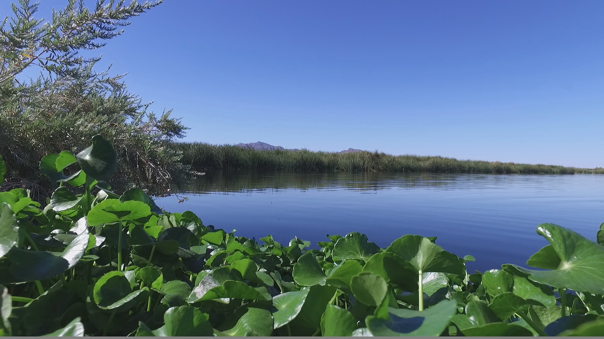 City Of Phoenix And The Plan For 100 Years Of Safe Drinking Water City of phoenix and the plan for 100 years of safe drinking water