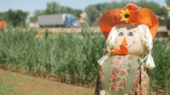 Welcoming Fall and Celebrating Harvest Season on Su Vida Tolmachoff Farms