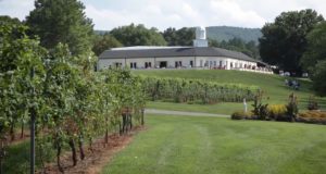 Barboursville Winery and Ruins in Virginia