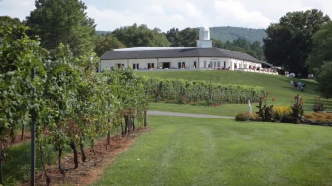 Barboursville Winery and Ruins in Virginia