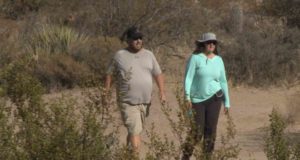 McDowell Sonoran Conservancy hiking trails