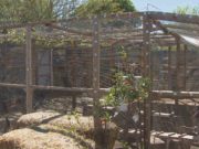 Urban Farm growing food at home