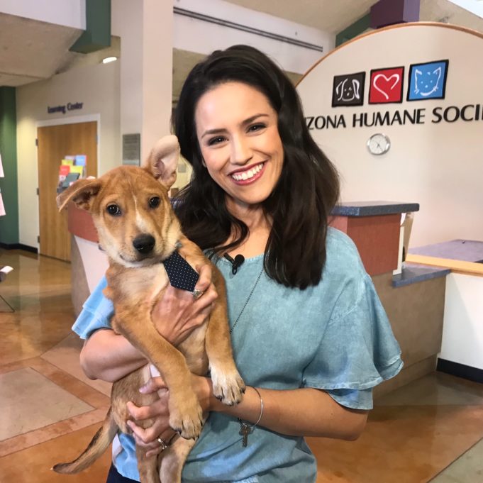 Pets: Good for Mind, Body and Soul Your Health Arizona Humane Society
