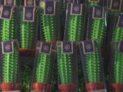 Creative Living: Episode 7 creative living episode 7