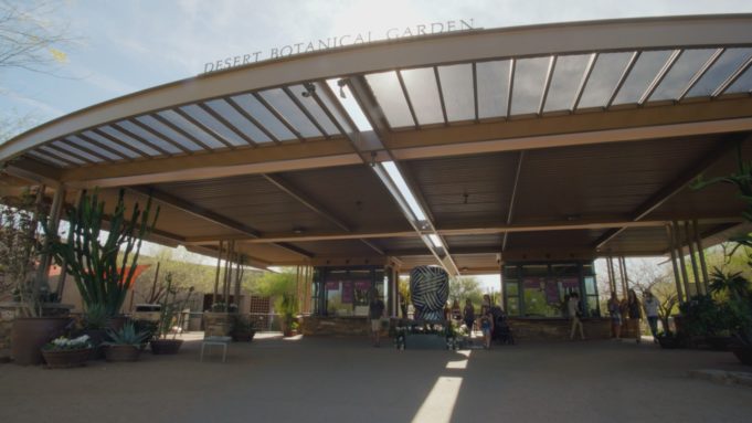 doing more - episode 5