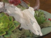 Spruce Up Your Southwest Decor with This Trendy DIY Cow Skull Craft Room Crash diy cow skull