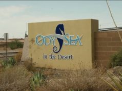 OdySea Aquarium Curriculum