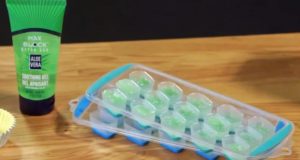 Creative Living summer