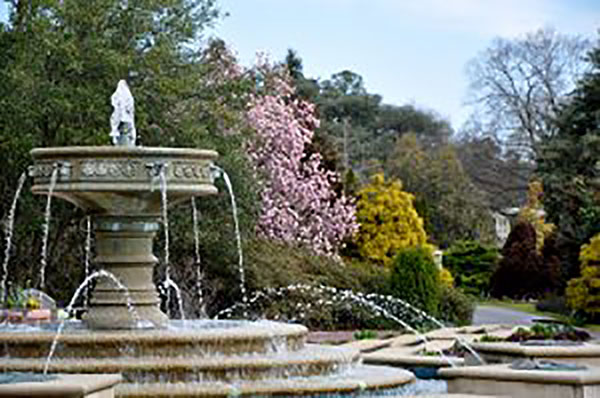 Norfolk Botanical Garden