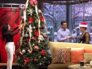 Que empiezan las celebraciones