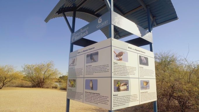 Riparian Preserve at Water Ranch