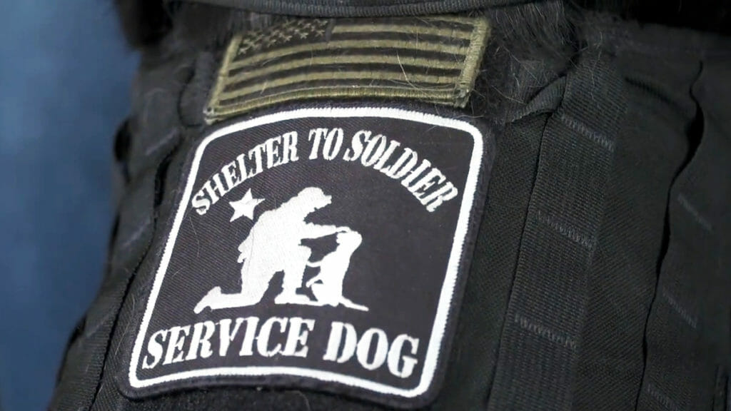 shelter to soldier patch