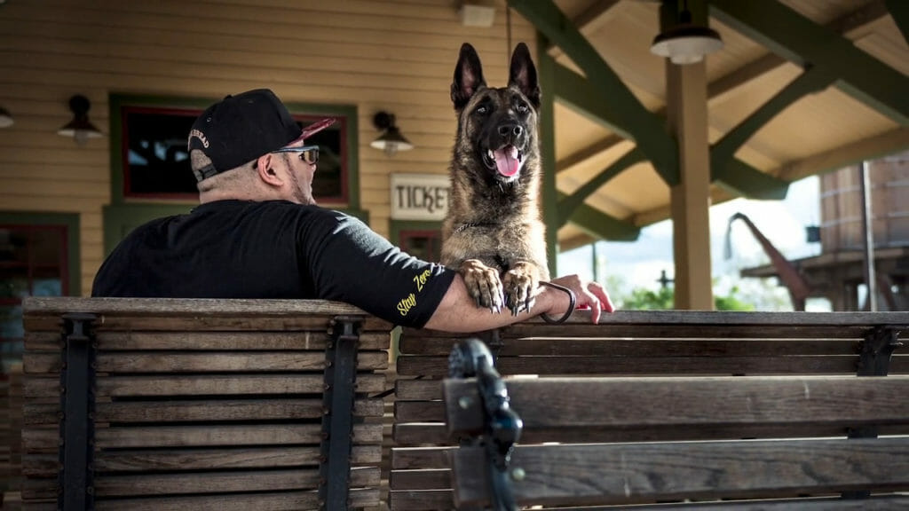 veteran with service dog