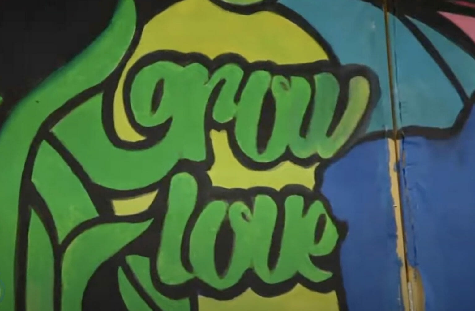 Learn Why Quincy is Afraid of Hot Dogs Seriously! Yurview