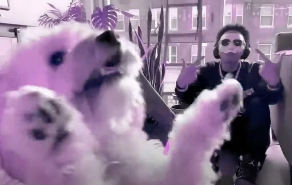 Learn Why Quincy is Afraid of Hot Dogs Seriously! Yurview