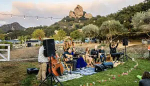 Helena Holleran Is A Treat For Your Ears Yurview