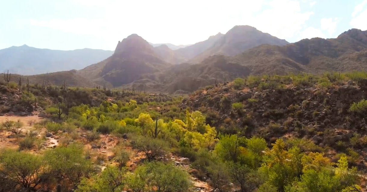 Oro Valley Map