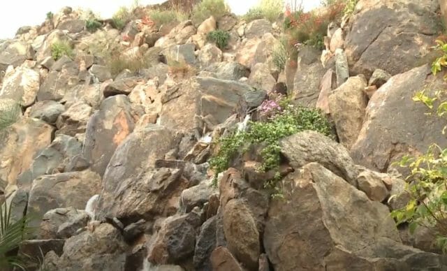 Unique, Award-Winning Arizona Landscape Design - yurview.com