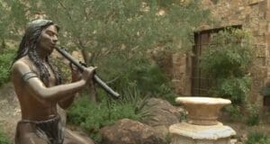 Arizona landscape design