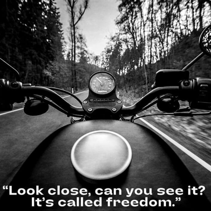 Motorcycle "Safety First" with Law Tigers and Harley Davidson Yurview