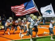 Southmoore SaberCats