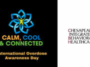 calm cool & connected