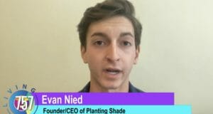 planting shade