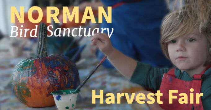 Norman Bird Sanctuary Harvest Fair
