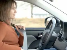 Buckle Up with the DMV buckle